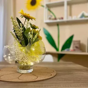 Appartamento Il Girasole, Calcinaia